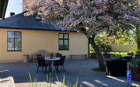 Villa Deluxe at Brohuspark